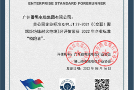  企业标准“领跑者”证书 